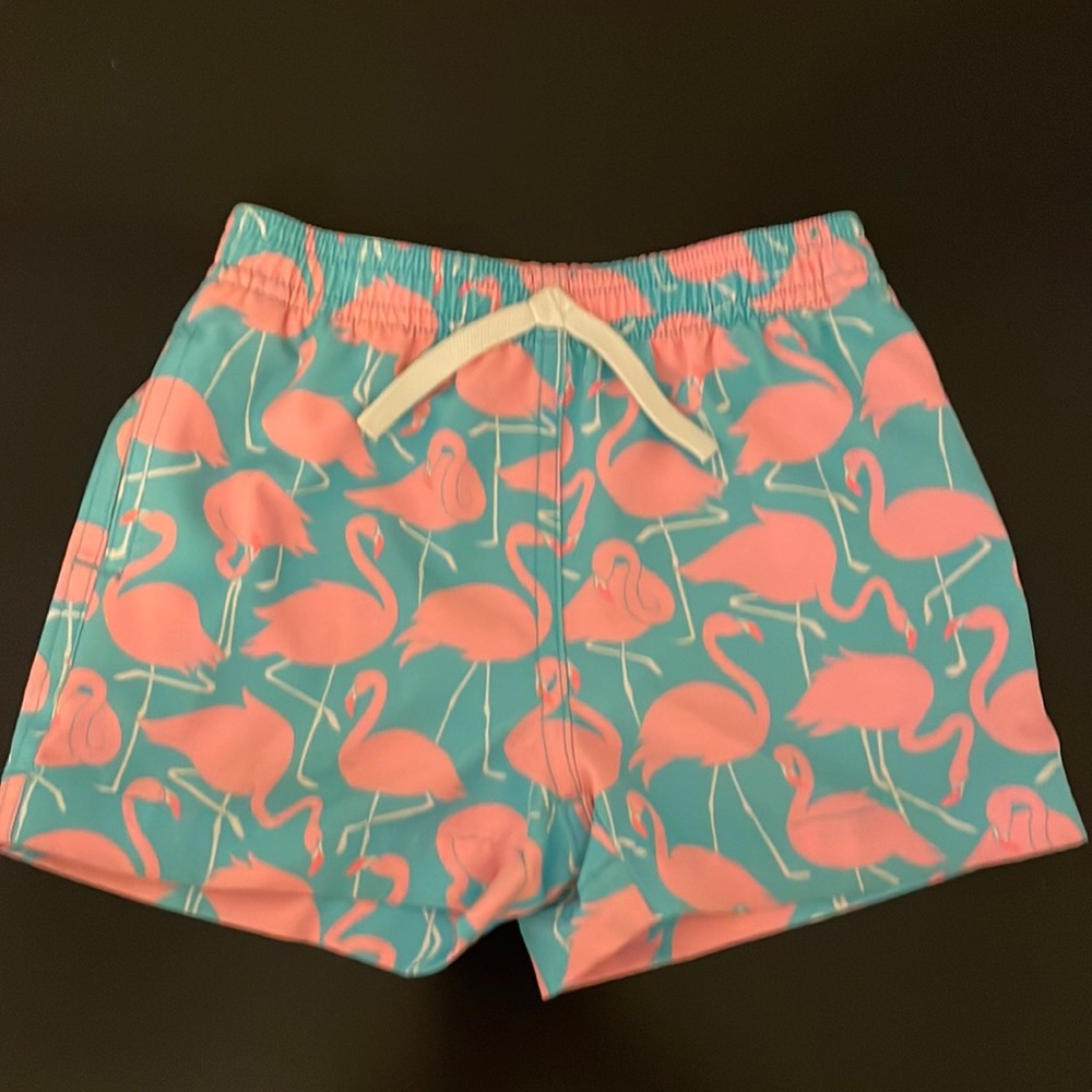 Chubbies Shorts toddler swim trunks